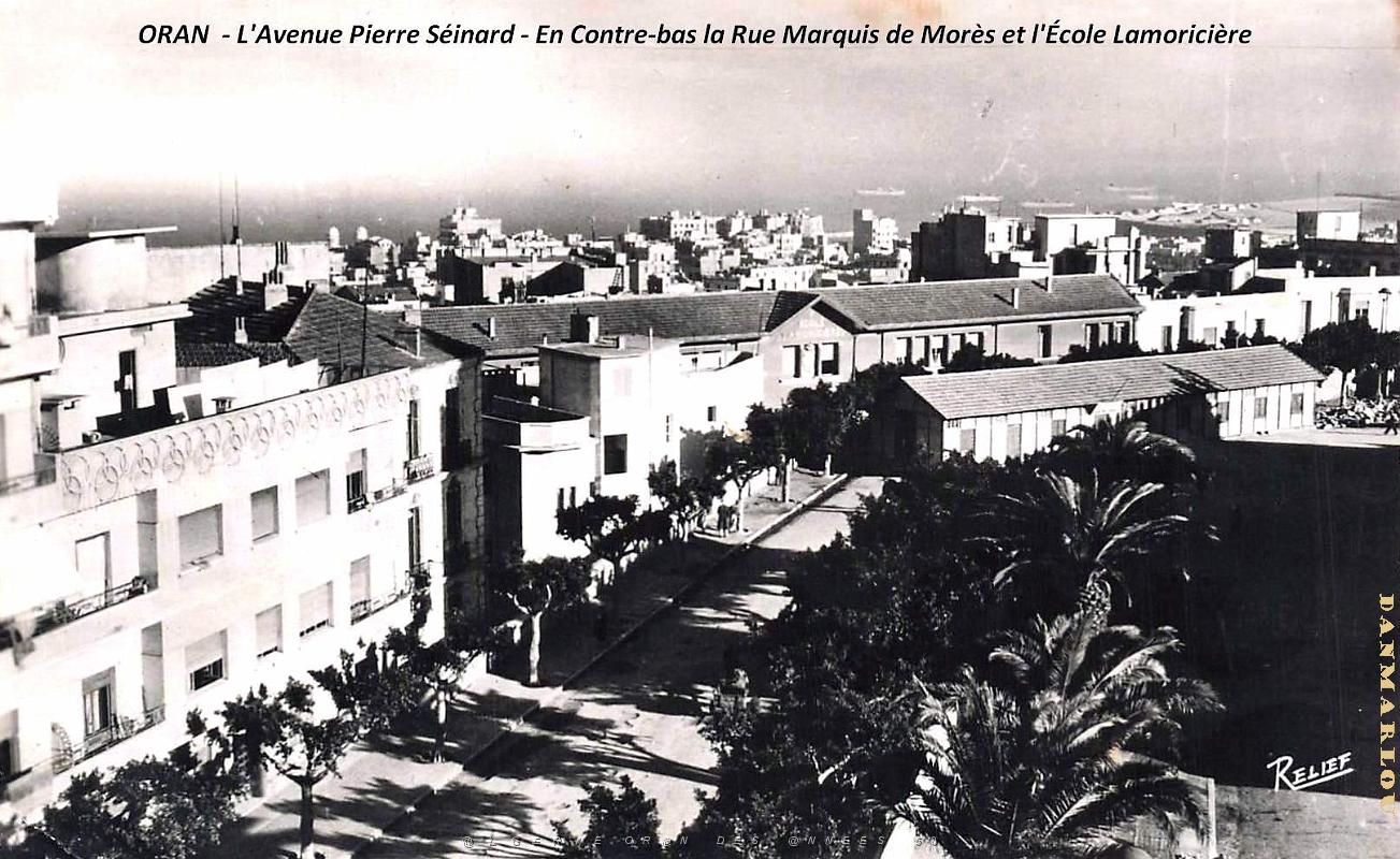 Oran - Avenue Pierre Seimard - Ecole Lamoriciere.jpg